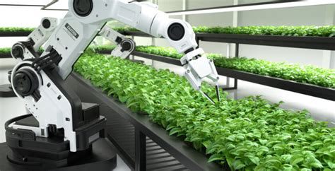 The Role Of Automation In Vertical Farming Indoorfarming Jobs
