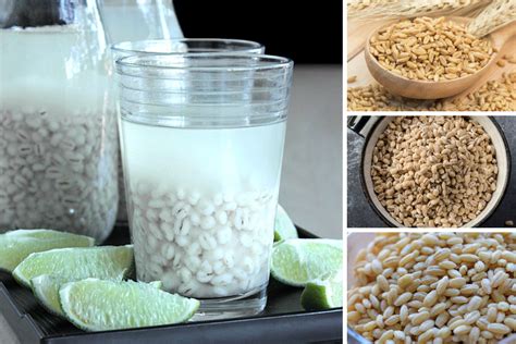 Cara masak air barli simple. Khasiat Yang Boleh Dapat Jika Amal Minum Air Barli Setiap ...
