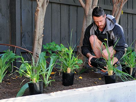 Why Should You Join Landscaping Victoria Master Landscapers Project