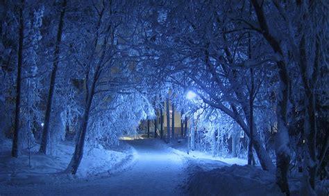 Royalty Free Photo Snow Covered Pathway Between Trees During Nighttime