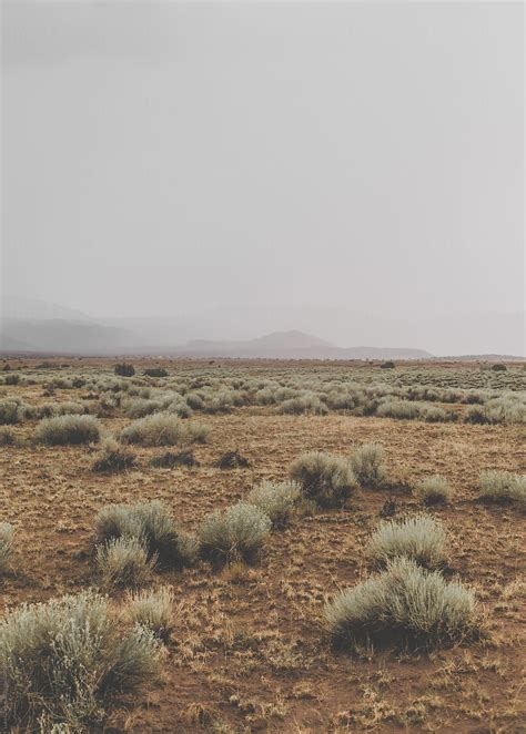 Roadtrip Across The Desert In America By Stocksy Contributor Luke