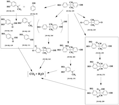Photocatalytic Degradation Pathway Of Bisphenol A In The Presence Of