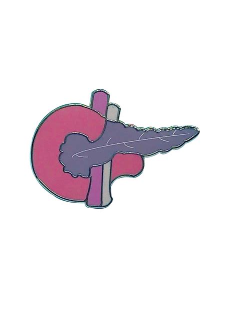 Pancreas Pin Enamel Pin Medical Pin Anatomy Pin Etsy