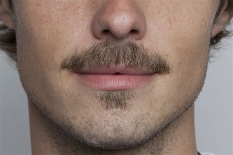 mustache definition and meaning with pictures picture dictionary and books