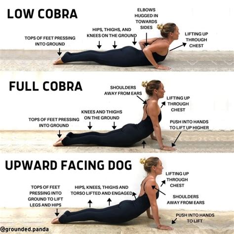 Must Know Yoga Poses Upward Facing Dog Vs Cobra Photos Yoga Poses