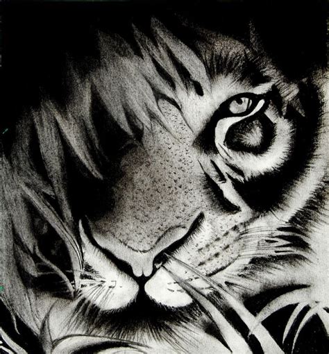 Royal Bengal Tiger Sketch Charcoal Drawing Of A Bengal Tiger Hiding In