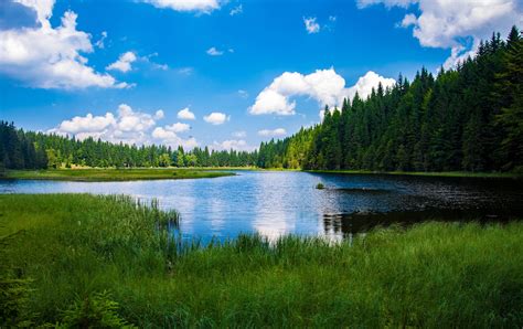 Scenic View of Lake in Forest Desktop Wallpapers - Computer Background ...