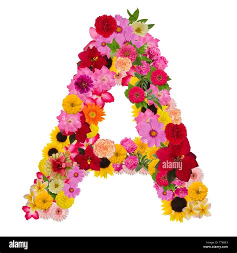 A Alphabet In Flower