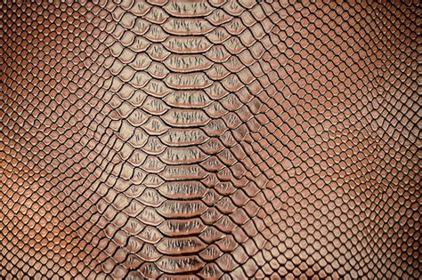 Premium Photo Close Up Of Luxury Snake Skin Texture Use For Background