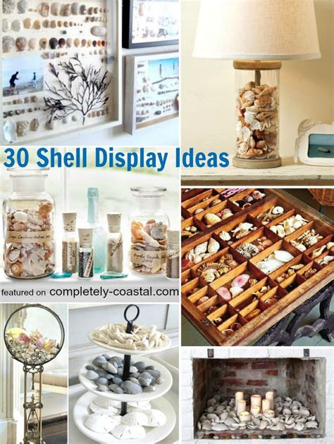 39 Seashell Collection Display Ideas Shell Decor Sea Shells Sea