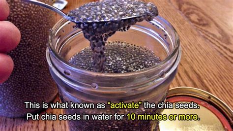 How To Lose Weight By Using Chia Seeds To Lose Weigh Youtube