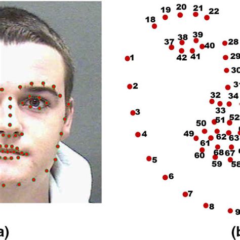 Identification Of Facial Landmarks Using Dlib A Facial Landmarks B