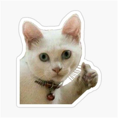 Thumbs Up Cat Sticker By Masoncarr2244 En 2021 Pegatinas Bonitas