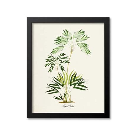 Tropical Palms Art Print Botanical Art Print Palms Wall Art Etsy