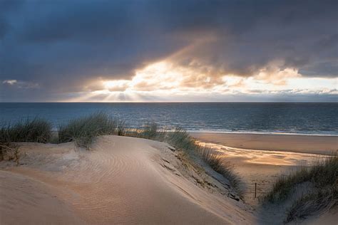 Hd Wallpaper Dunes Beach North Sea Borkum Untouched Nature Plant