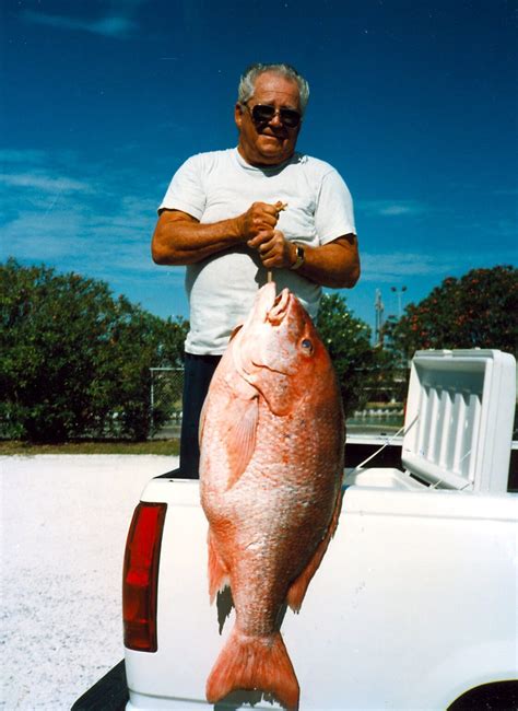Really Big Red Snapper Archives The Jump
