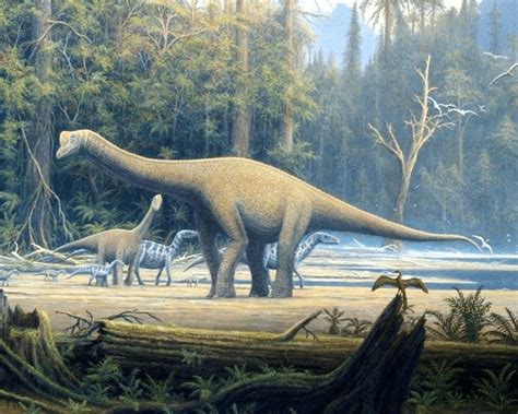 100 Mn Year Old Bones Of Sauropod Dinosaurs Discovered In Meghalaya