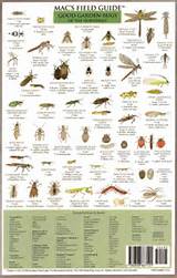 Garden Pest Identification Chart