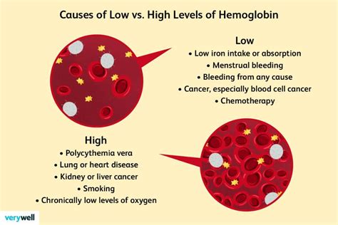 Hemoglobin Levels High Vs Low Symptoms And Risk Factors