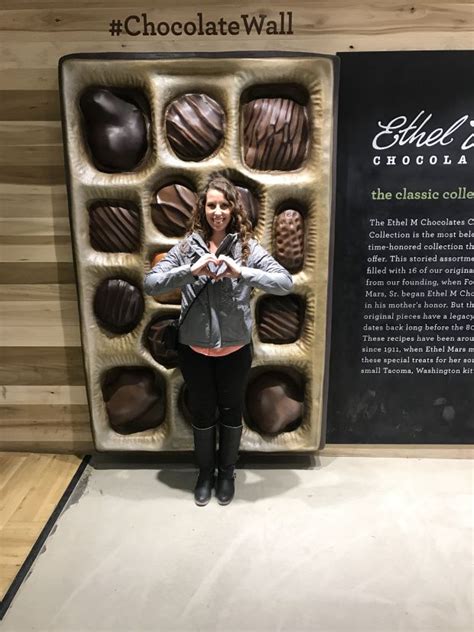 Bus accidents happen for a wide variety of different reasons. Ethel and M Cactus Garden | Chocolate walls, Las vegas ...