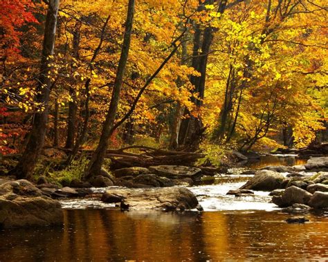 Природа осень река горы деревья леса вода камни обои для