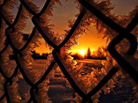 Fence Ice Snow Winter Sunrise Silhouette Nature Wallpapers Hd