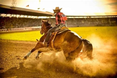 Pin By Whitney Kinder On Leter Buck Barrel Racing Photography