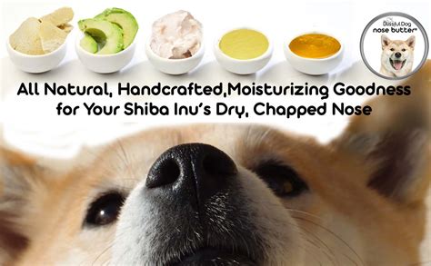 Shiba Inu Nose Butter Moisturizes Your Shibas Rough Dry Nose The