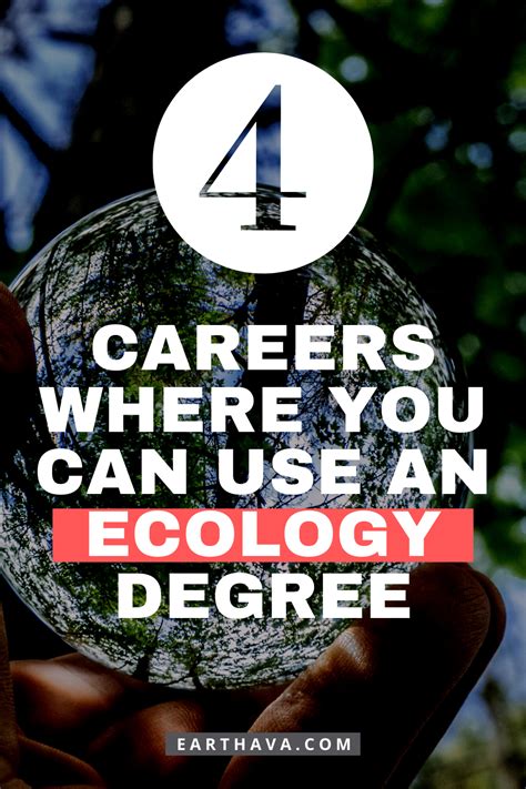 4 Surprising Careers Where You Can Use An Ecology Degree Earthava