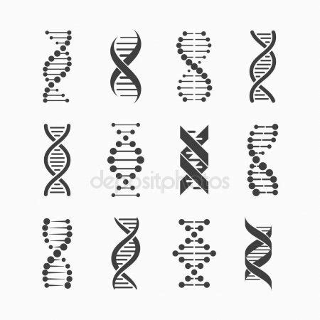 How To Draw Dna Strand Drawing Ideas