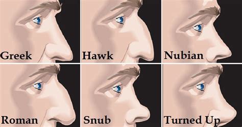 The Nose In Physiognomy Guinness Medical Drawings Medical Drawings Sketches Nose Shape