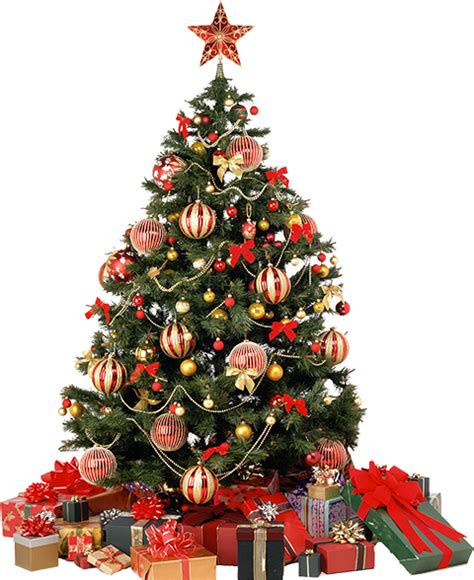Christmas Tree Png Transparent Image Download Size 480x588px