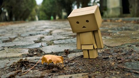 Danbo Hd Wallpaper Background Image 2560x1600