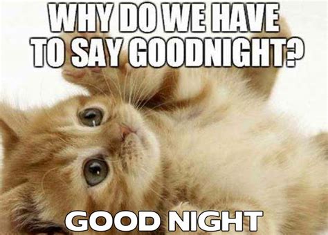 40 Good Night Memes Funny Goodnight Memes Images Boom