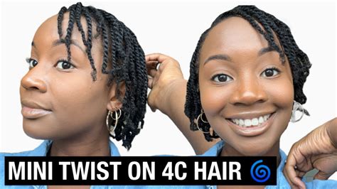 How To Do Mini Twist On Fine 4c Hair Youtube