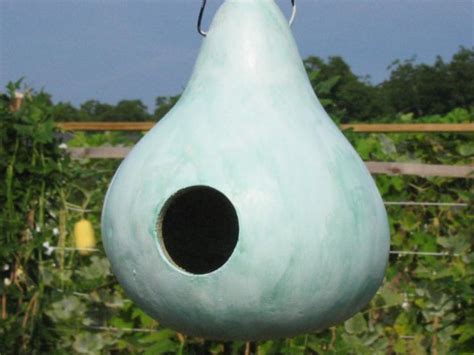 How To Make A Gourd Bird House How Tos Diy