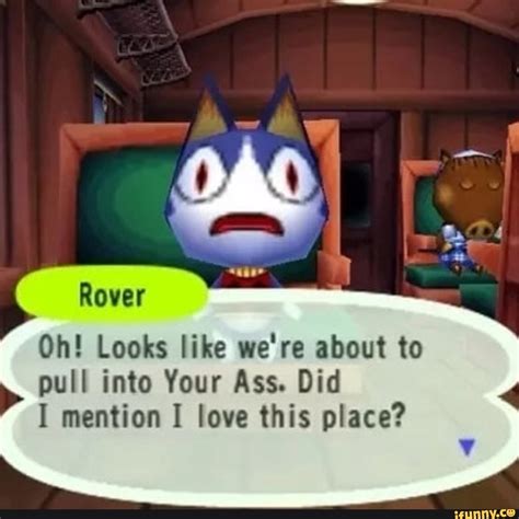 Pin On Funny Animal Crossing Memes