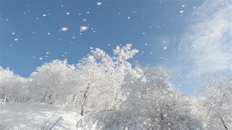 Sparkling Winter Wonderland With Falling Snow Royalty Free Video