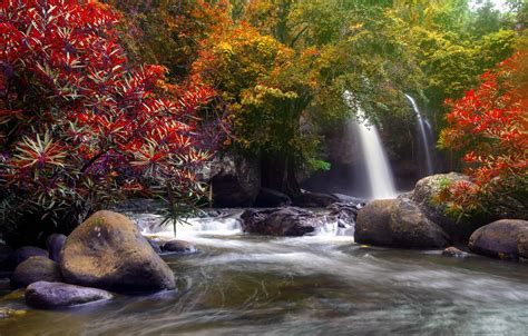 Wallpaper Autumn Forest Water Trees Nature River Waterfall