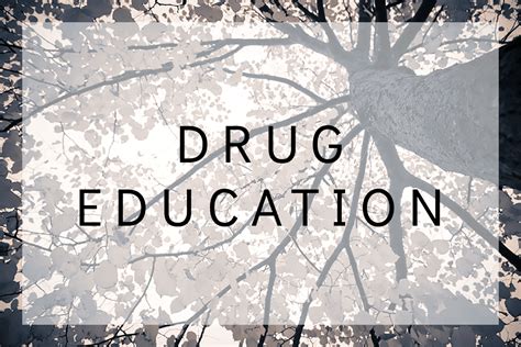 Drug Education Truth About Drugs Open Avenue Therapy Chicago