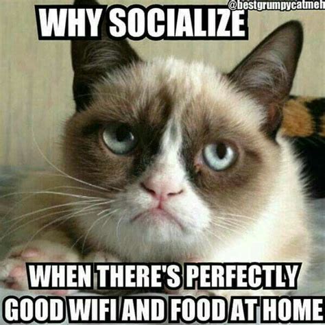 Why Socialize When Theres Perfectly Good Wifi And Food At Home Right