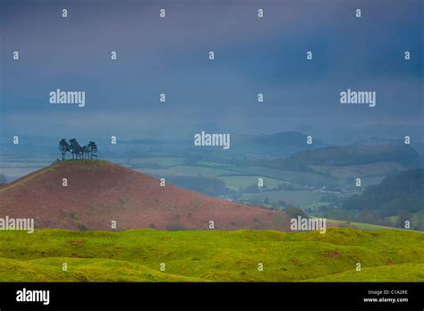 Colmers Hill On A Misty Winters Morning Stock Photo Alamy