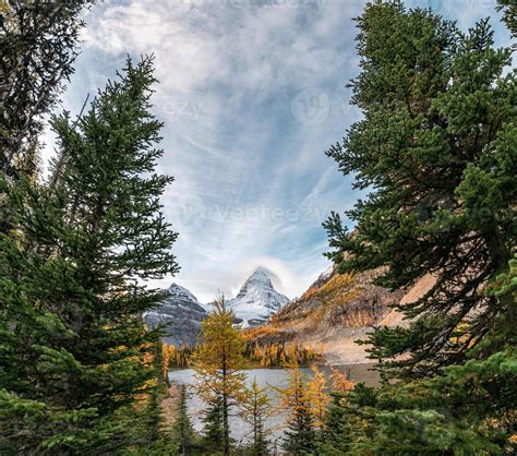 Mount Assiniboine With Autumn Forest On Lake Magog At Provincial Park