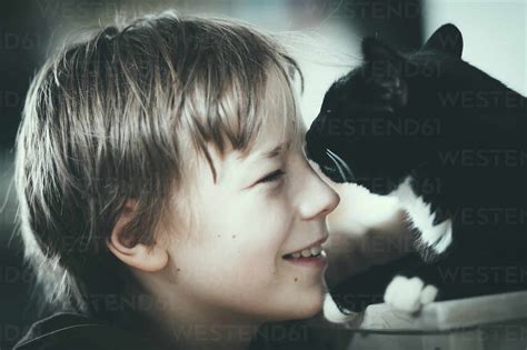 Boy With Cat Stock Photo