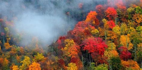 4 Ways To Enjoy The Beautiful Fall Weather In North Carolina