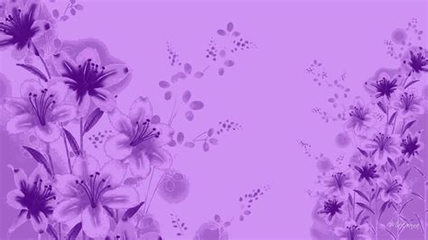 Lavender Background 43 Images
