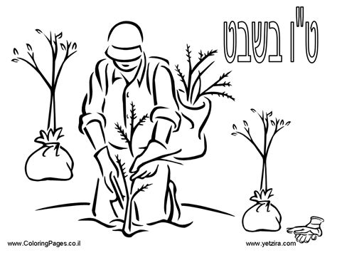 Shabbat Coloring Pages Printable Sketch Coloring Page