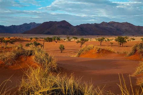 Namib Naukluft National Park National Parks In Namibia
