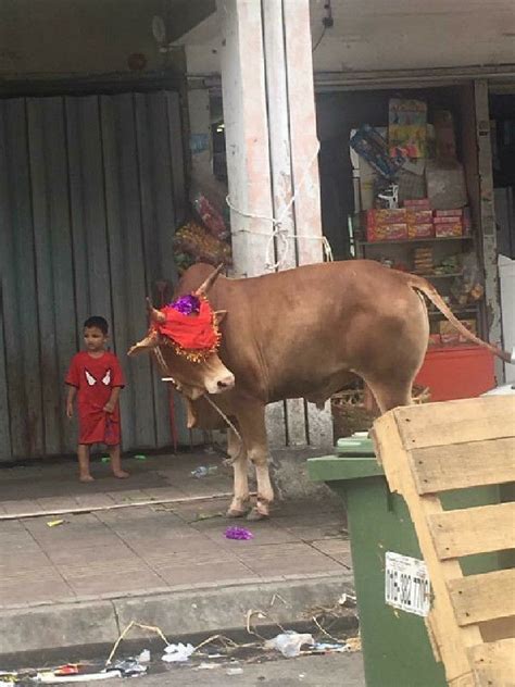 Agrobank selayang (pusat bandar utara), kl. Pendatang #Rohingya bela lembu di Pasar Borong Selayang ...