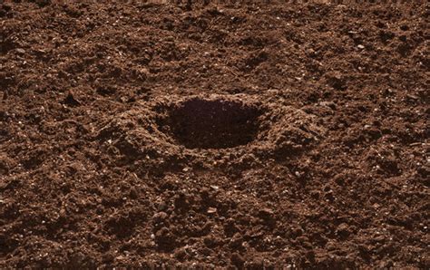 Dirt Hole Grass